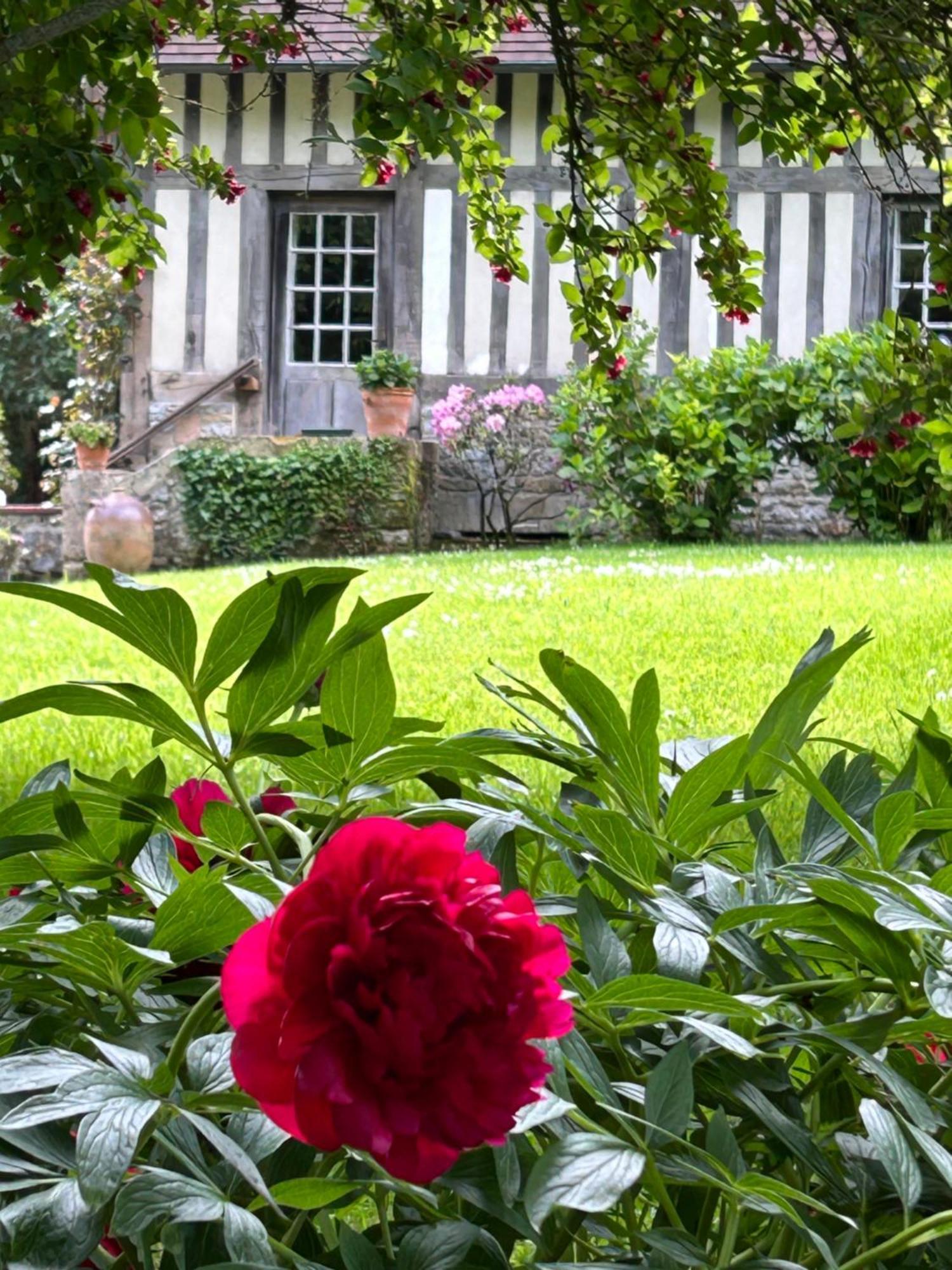 Les Hortensias Manerbe Екстер'єр фото